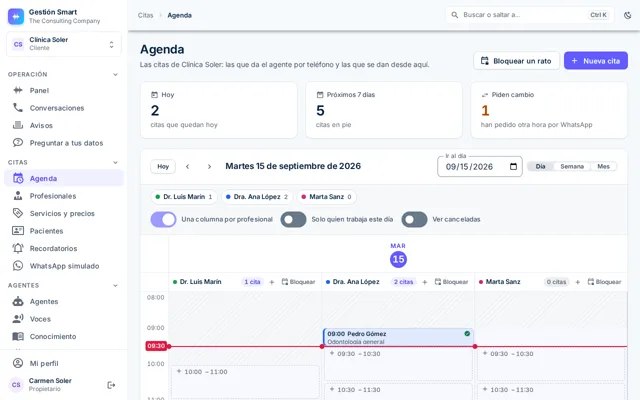 Agenda del panel con una columna por profesional y las citas repartidas por horas